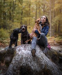 educatrice canine en forêt avec trois chiens, deux staffy et un labrador chocolat